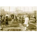 Immagine: Coltivare la città