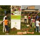 Immagine: Una Mole di orti