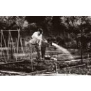 Immagine: Coltivare l\'integrazione