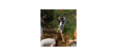 A Napoli piccoli coltivatori avvertono: 