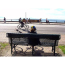 Immagine: Napoli: 4 ottobre domenica ecologica