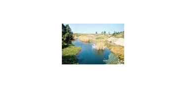 «Natura in città» con il Wwf