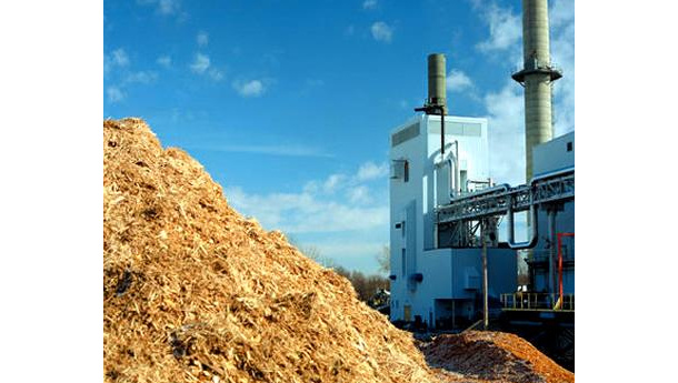 Immagine: Colleferro, la Regione inaugura nuovo microimpianto a biomasse