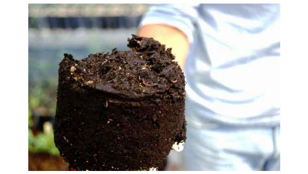 Immagine: Compostaggio domestico a Genova: l'esperienza di Italia Nostra