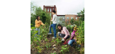 Milano: il progetto di community garden nel Parco Trotter