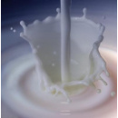 Immagine: Latte alla spina a Monterotondo