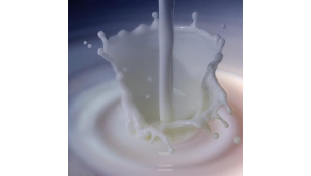 Immagine: Latte alla spina a Monterotondo