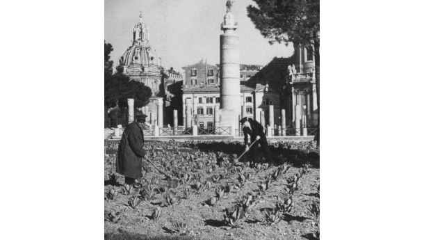 Immagine: Roma: con la primavera arriveranno 200 nuovi orti urbani