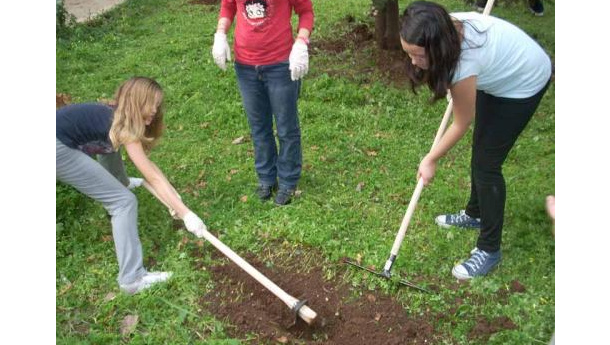 Immagine: Pon, a scuola di ambiente