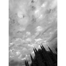 Immagine: Sotto la grande Nuvola