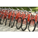 Immagine: Bike sharing: entro l'anno 70 biciclette ad Alessandria