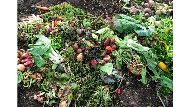 Immagine: La Cgil accusa: «I rifiuti organici finiscono in discarica». Secca smentita dell'Ama