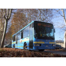 Immagine: Sindone catalizzata con il piano della mobilità