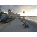 Immagine: Il Comune di Bari presenta i nuovi progetti per la mobilità urbana