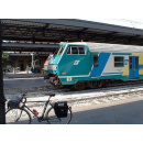Immagine: A Pasquetta in bicicletta gratis sui treni