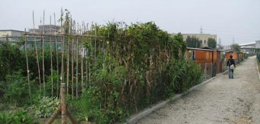 Nuova graduatoria per gli orti dell'Arrivore