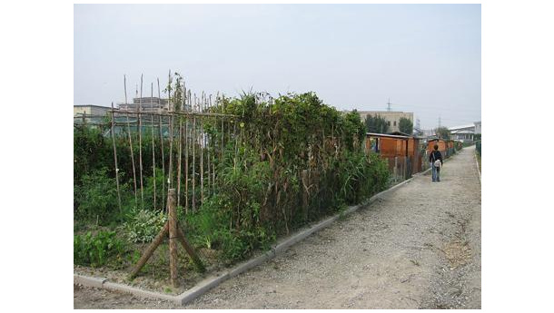 Immagine: Nuova graduatoria per gli orti dell'Arrivore