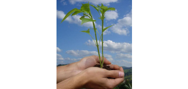 La Regione Puglia all'Eco Biz Expo 2010 di Tirana