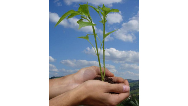 Immagine: La Regione Puglia all'Eco Biz Expo 2010 di Tirana