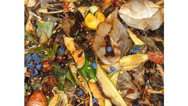 Immagine: Nuovo decreto sui rifiuti: solo sacchetti bio per la raccolta dell'organico