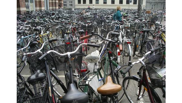 Immagine: Partito il bonus per l'acquisto di bici della Provincia di Foggia. La lista dei rivenditori e i consigli dei Cicloamici Foggia