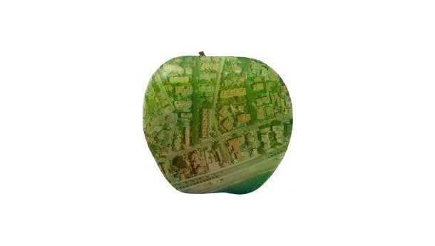 Immagine: Progetto CAT-MED: 11 metropoli mediterranee unite per prevenire i rischi del cambiamento climatico