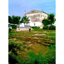 Immagine: Bari: orti urbani all'ombra del campanile