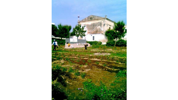 Immagine: Bari: orti urbani all'ombra del campanile