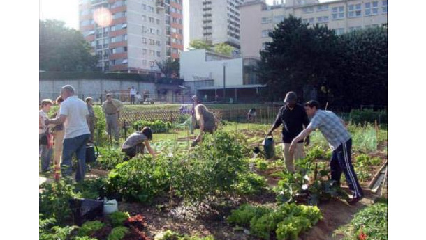 Immagine: Garbatella, inaugurato il primo orto urbano comunitario di Roma