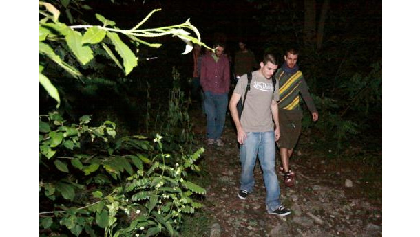 Immagine: Le escursioni notturne nel bosco di Superga a Torino