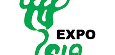 Energie rinnovabili: la Puglia in mostra all'Expo di Shangai