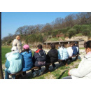 Immagine: Tagli alle regioni, a rischio i laboratori di educazione ambientale del Lazio