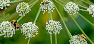 Presentato, come ogni anno, lo stato dell'ambiente in Piemonte