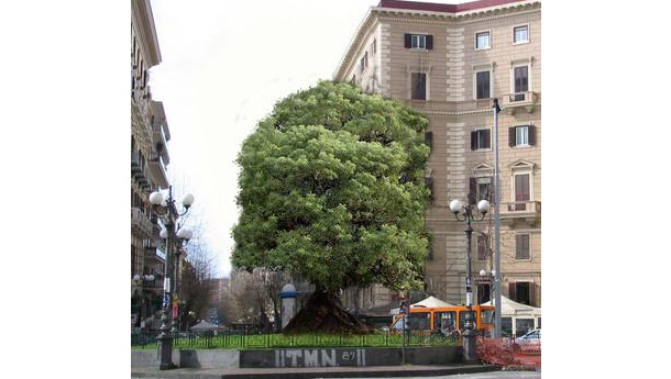 Immagine: “Adotta un’aiuola”, il 28 scade il bando del comune di Napoli