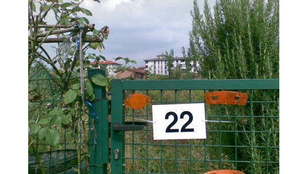 Immagine: 330 orti urbani a Torino. L'assessore Tricarico: