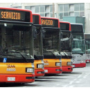 Immagine: Panettoni: 