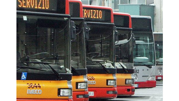 Immagine: Panettoni: