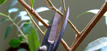 Molte Regioni confermano i fondi all'educazione ambientale, il Piemonte li azzera