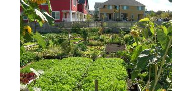 Ferrara: spazi verdi offresi ad amanti di orti e giardini