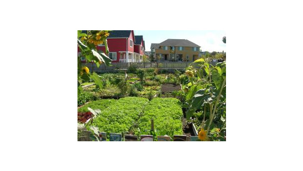 Immagine: Ferrara: spazi verdi offresi ad amanti di orti e giardini