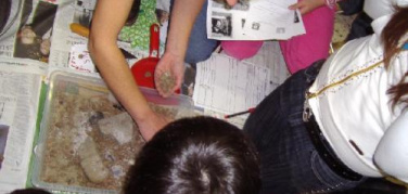 Educazione ambientale, chiusi i Lea della provincia di Roma: 21 operatori disoccupati