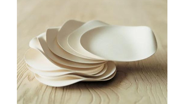 Immagine: I piatti di carta sono un'alternativa agli usa e getta in plastica?