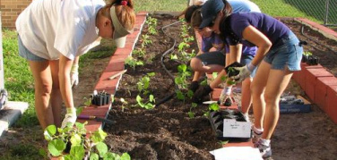 Nasce l'«orto urbano» di Udine