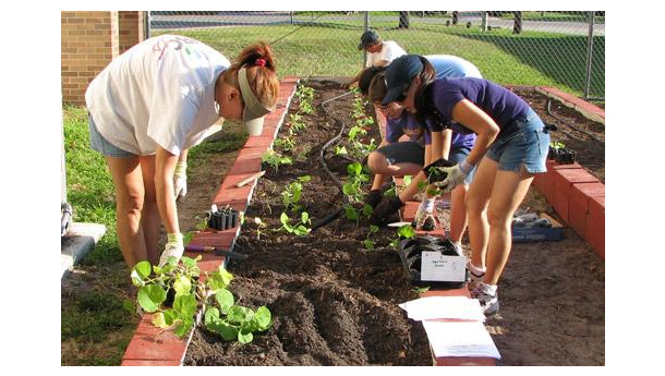 Immagine: Nasce l'«orto urbano» di Udine