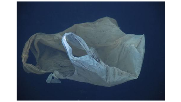 Immagine: Menia, sottosegretario all’Ambiente: “Sacchetti di plastica banditi dal 1°gennaio”