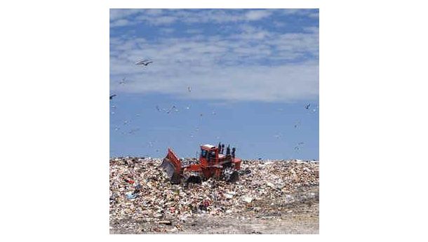 Immagine: Aggiornamenti dal progetto europeo