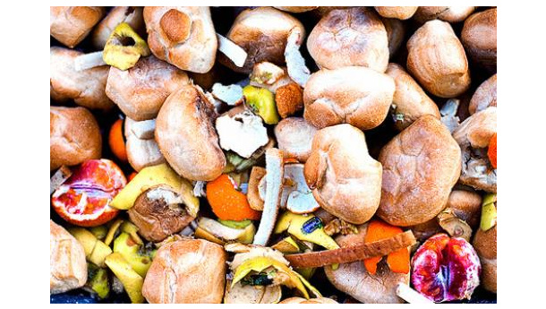 Immagine: Rapporto LLM: ogni anno in Italia al macero 20 milioni di tonnellate di cibo non consumato