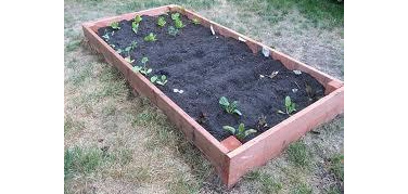 Un orto in città: ecco come fare per riuscirci