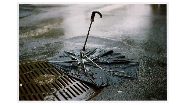 Immagine: Ma dove vanno a finire gli ombrelli?