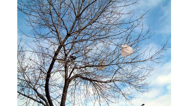 Immagine: Abolizione dei sacchetti di plastica, Napoli si prepara